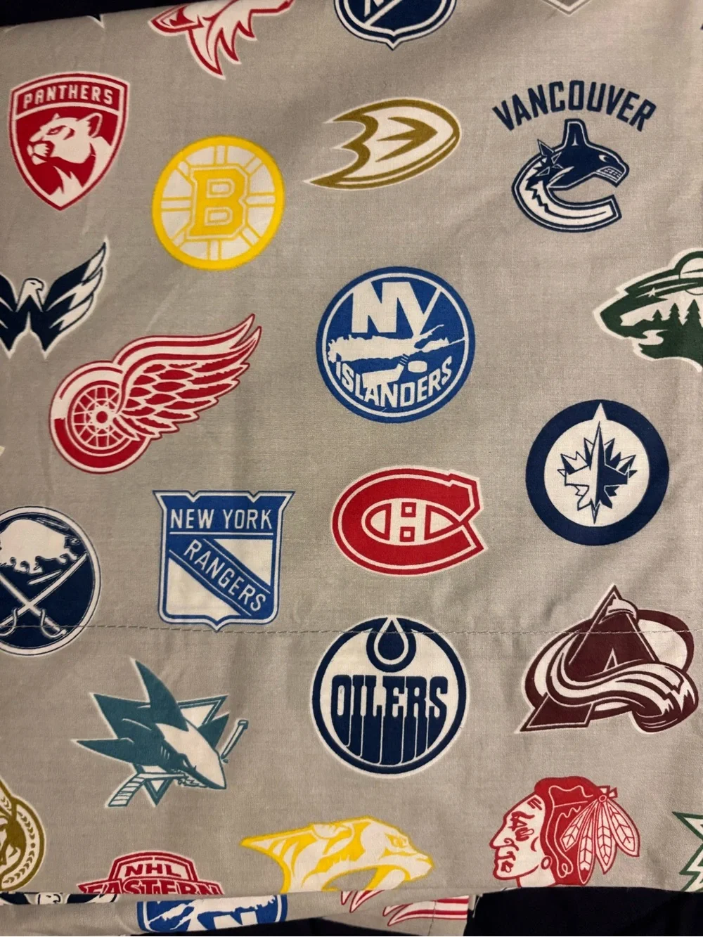 Pottery Barn Teen NHL Logos Cotton Pillowcase - Gray with Multicolor Team Crests